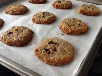 /album/havermoutkoekjes-/img-0644-jpg1/